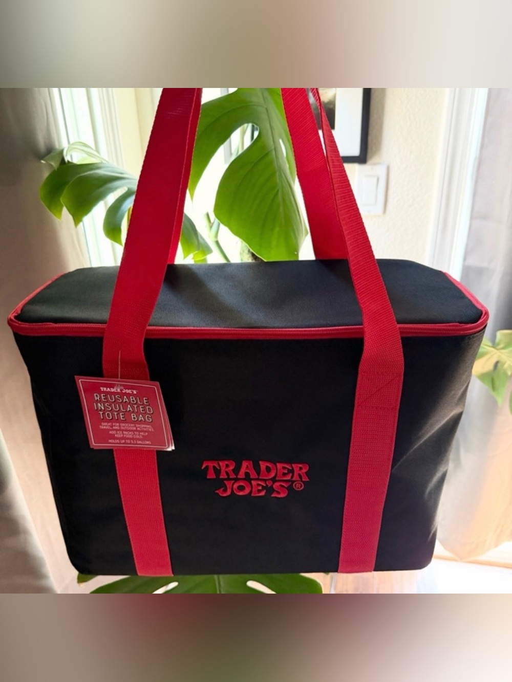 🆕 LIMITED TIME - Trader Joe’s Black & Red Large Insulated Lunch Bag